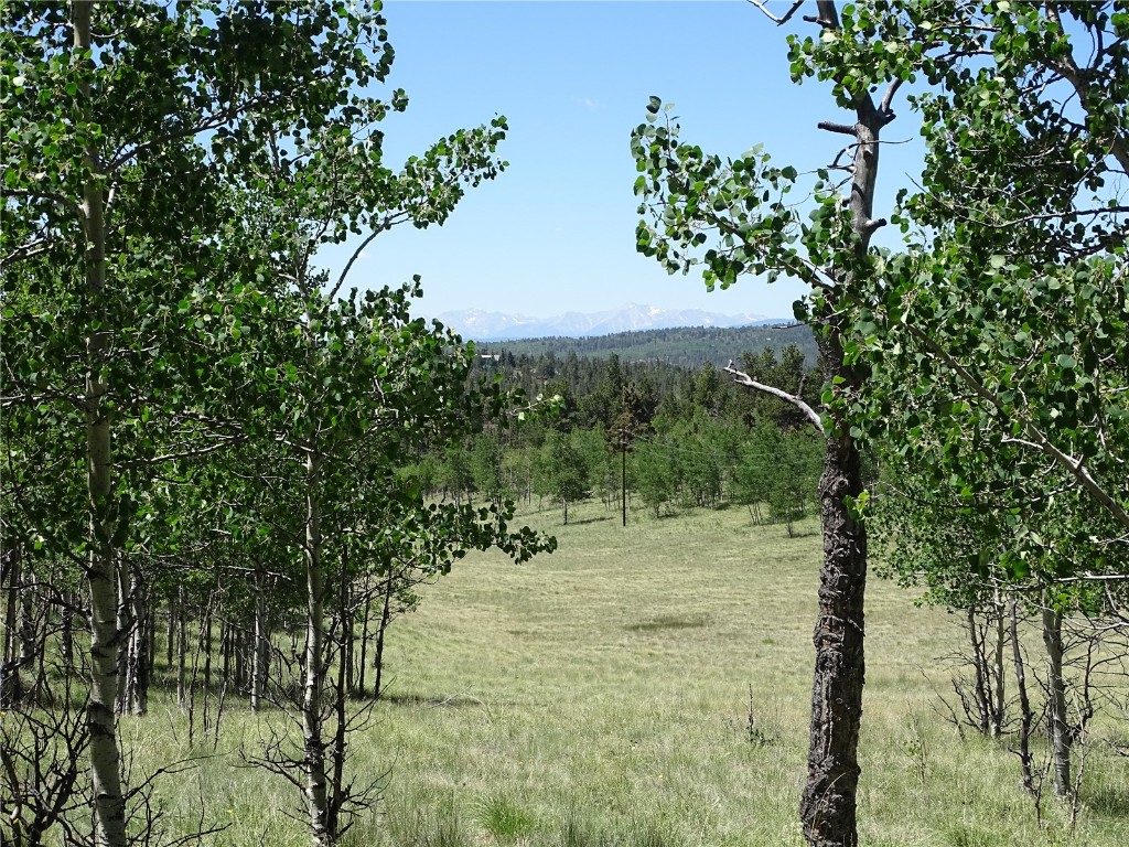 782 Bow String Road Como, CO 80456 - Photo 4 of 22 a view of a yard