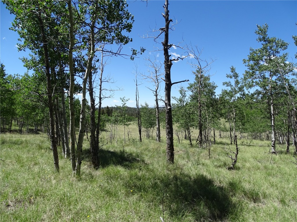 782 Bow String Road Como, CO 80456 - Photo 8 of 22 a view of a garden