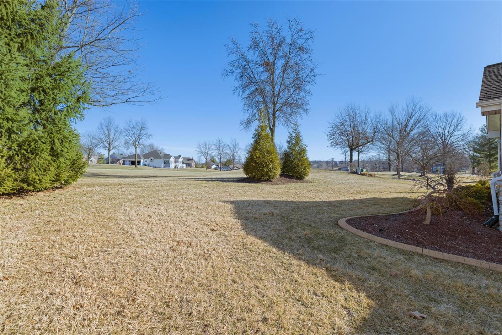 133 Roehampton Lane Weldon Spring, MO 63304 - Photo 10 of 62 Gallery Image 10