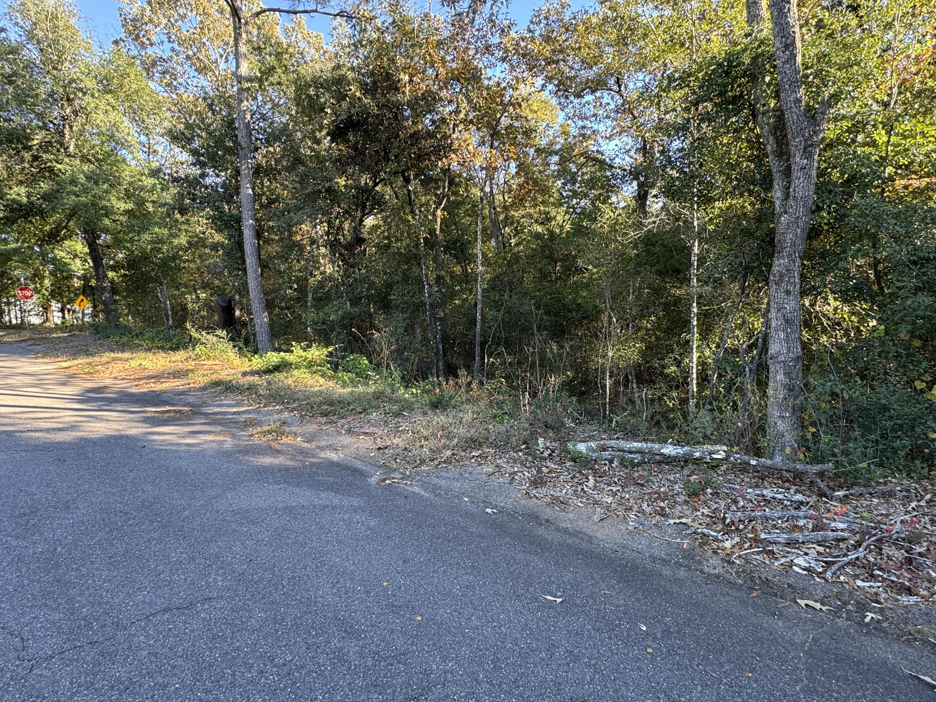 Lot #1 Charles Street Jackson, SC 29831 - Photo 3 of 12