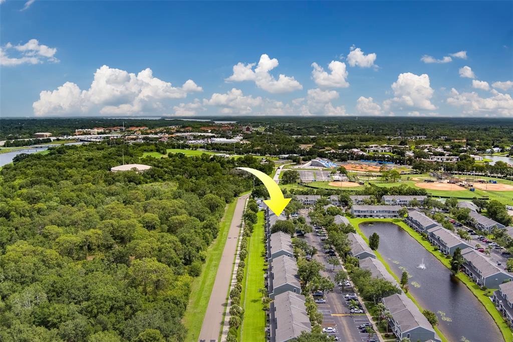 367 Countryside Key Boulevard Oldsmar, FL 34677 - Photo 26 of 30 Gallery Image 26