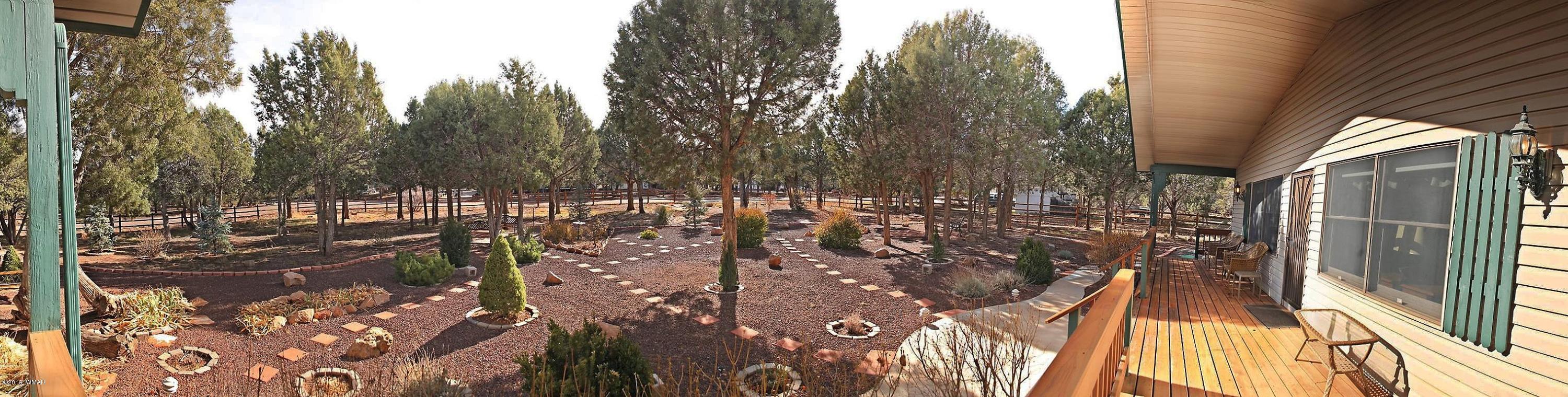 918 Wild Horse Road Show Low, AZ 85901 - Photo 52 of 58