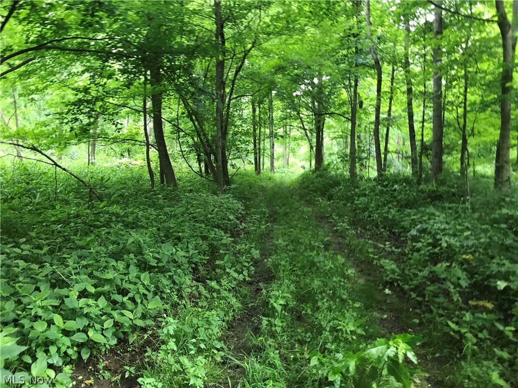 Lexington Springmill Road Mansfield, OH 44904 - Photo 7 of 23