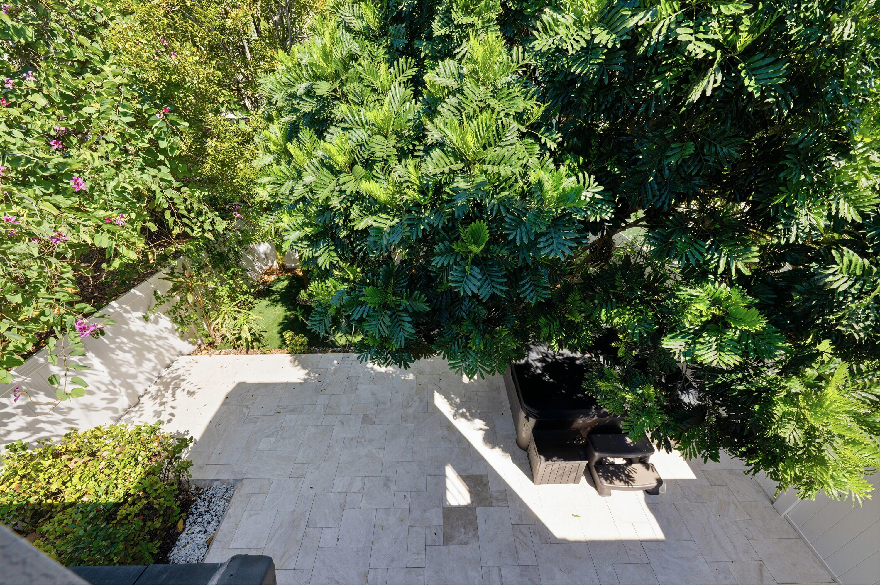 340 Northwest 33rd Lane Pompano Beach, FL 33069 - Photo 23 of 47 a view of a tree with a plant