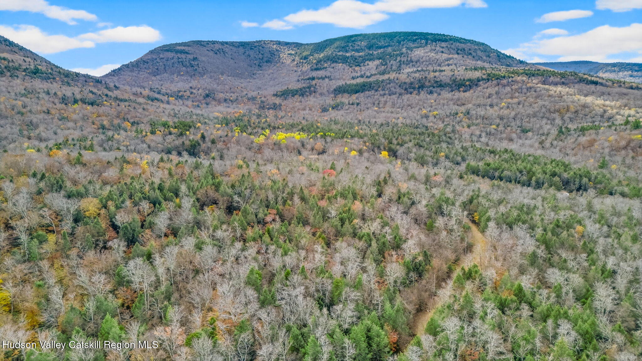 16 Corfu Road Elka Park, NY 12427 - Photo 15 of 29 DJI_20251026142508_0078_D