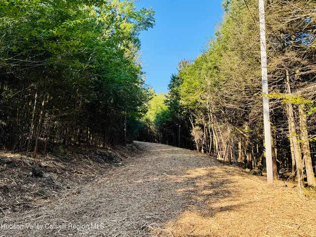 $185,000 | 16 Corfu Road, Elka Park, NY 12427