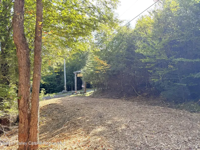 $185,000 | 16 Corfu Road, Elka Park, NY 12427