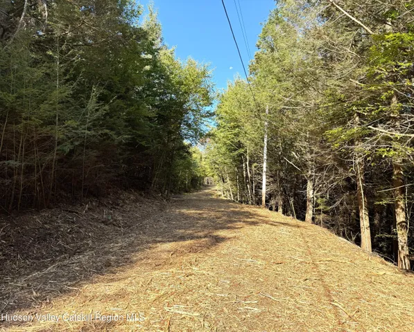 $185,000 | 16 Corfu Road, Elka Park, NY 12427