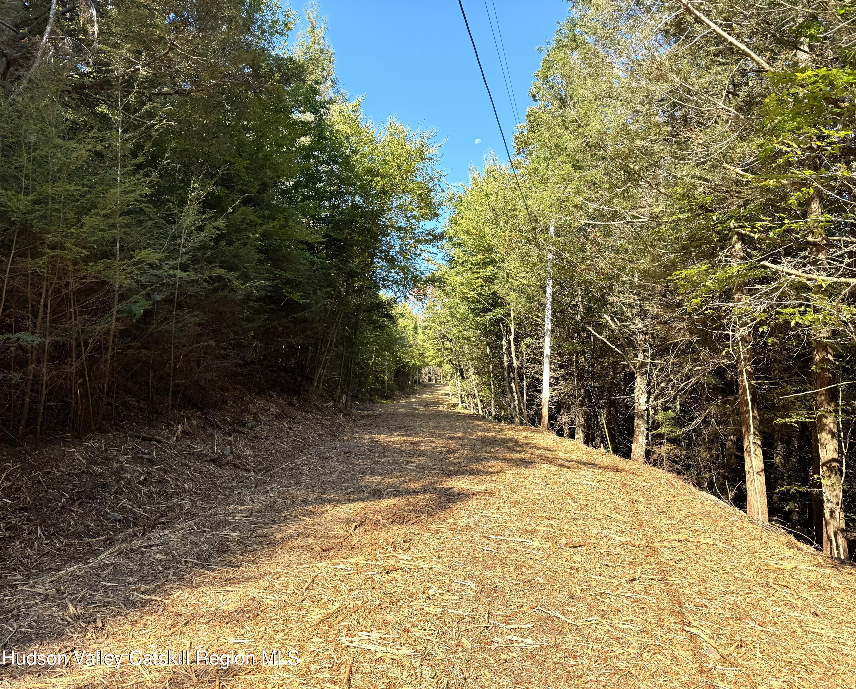 16 Corfu Road Elka Park, NY 12427 - Photo 27 of 29 IMG_2109