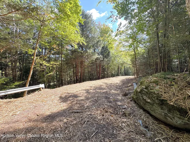 $185,000 | 16 Corfu Road, Elka Park, NY 12427