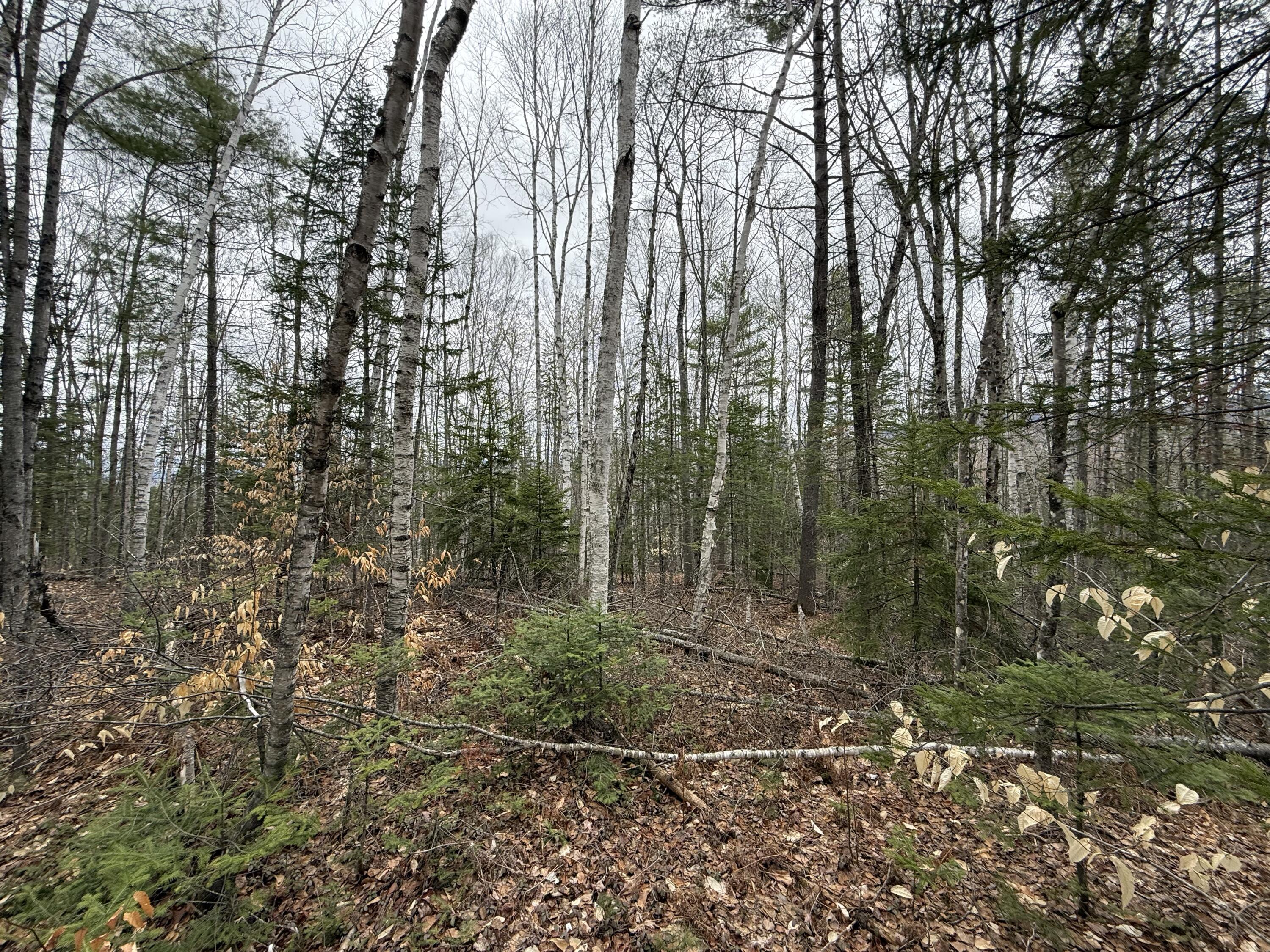 L12 Fuller Road Carthage, ME 04224 - Photo 8 of 10