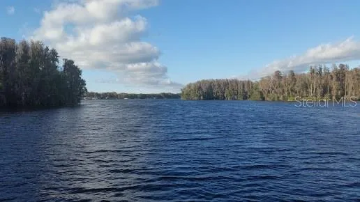 a view of lake with trees