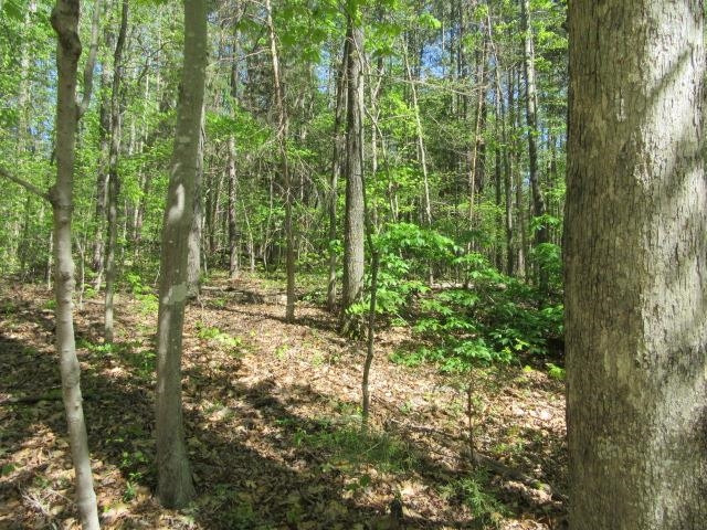 9563 George Ruff Road Bullock, NC 27507 - Photo 3 of 5 Photo 3