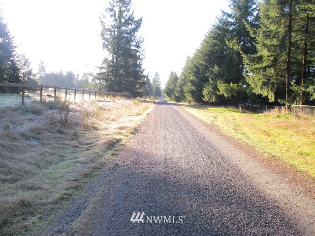 16822 Weaver Lane Southwest Rochester, WA 98579 - Photo 2 of 22 Gallery Image 2