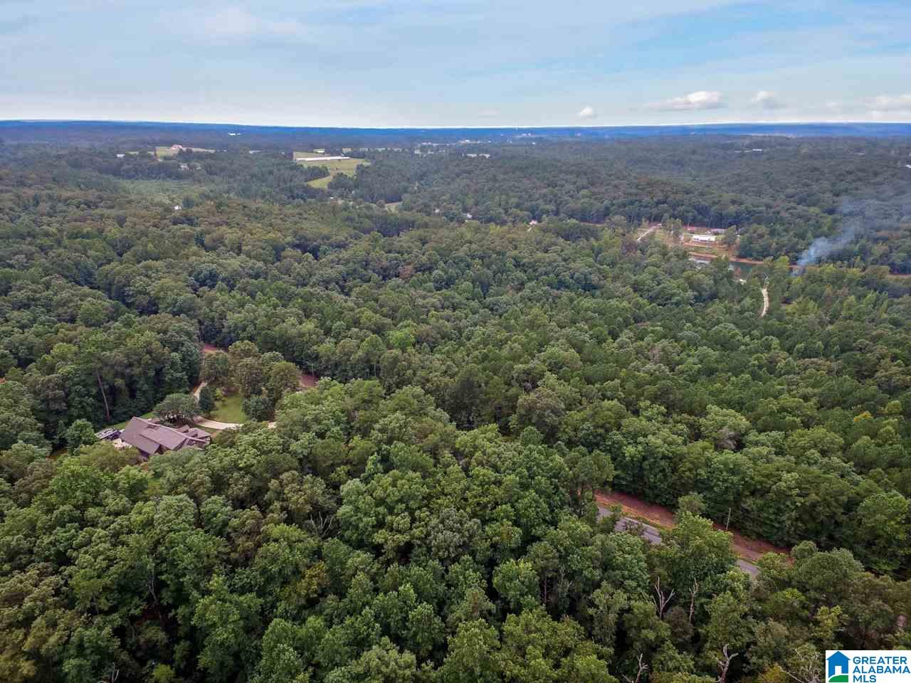 0 Harbor Light Trail, Unit 1 Jasper, AL 35504 - Photo 4 of 22