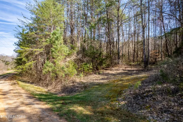 $44,500 | Welch Road, Tellico Plains, TN 37385