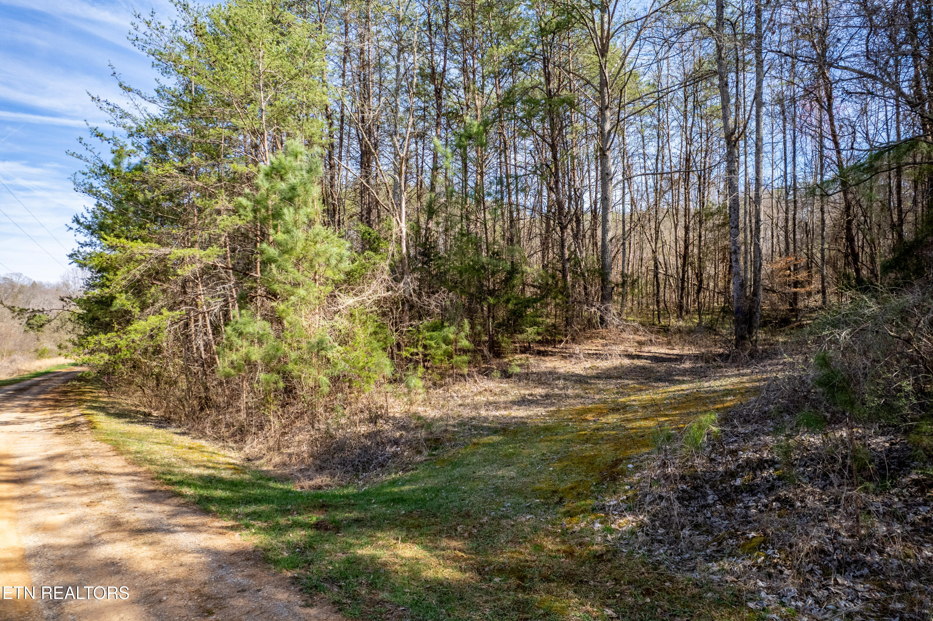 Welch Road Tellico Plains, TN 37385 - Photo 1 of 12 WelchRd,TellicoPlains-37