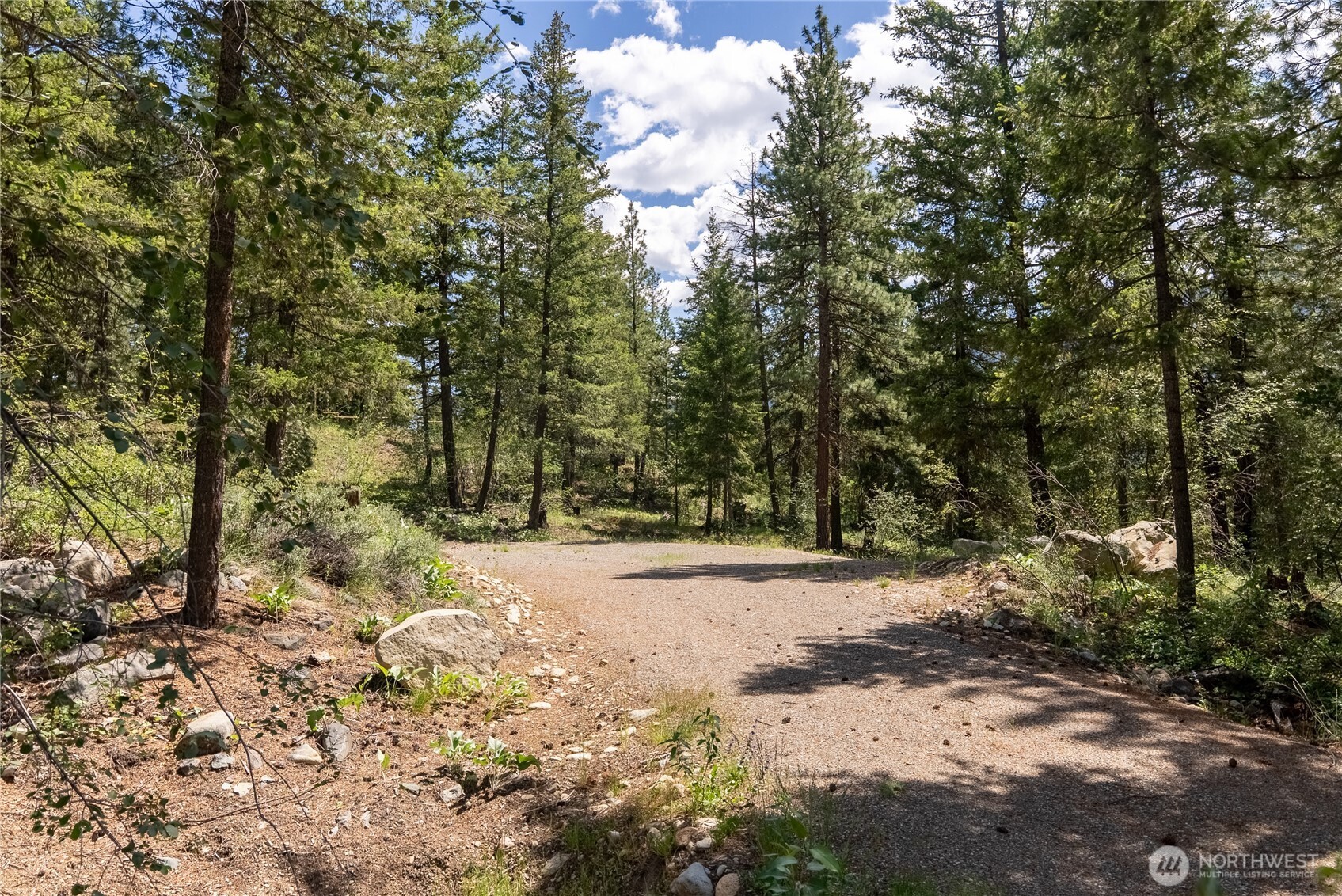 6 Homestead Road Winthrop, WA 98862 - Photo 19 of 40 a view of a yard with trees