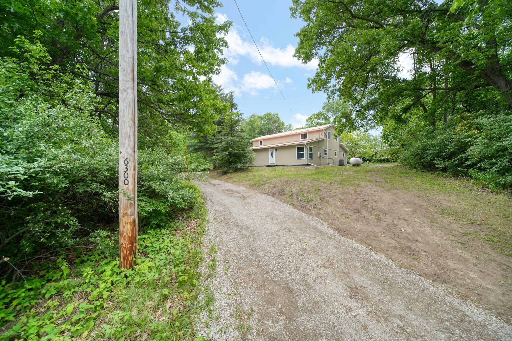 6300 Brooklyn Road Jackson, MI 49201 - Photo 3 of 50 2-web-or-mls-DSC05203_HDR