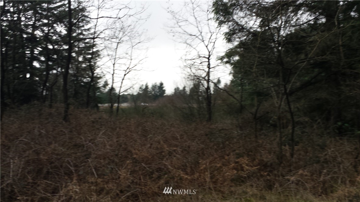 -xx Loganberry Street Southwest Rochester, WA 98579 - Photo 1 of 1