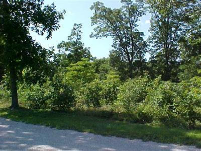 0 Cash Spring Road Ozark, MO 65721 - Photo 1 of 1 Primary Photo