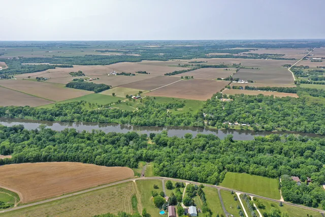 a view of a garden with plants
