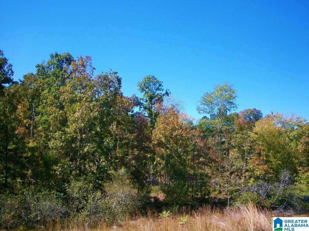 205 Gessler Drive Ohatchee, AL 36271 - Photo 37 of 50