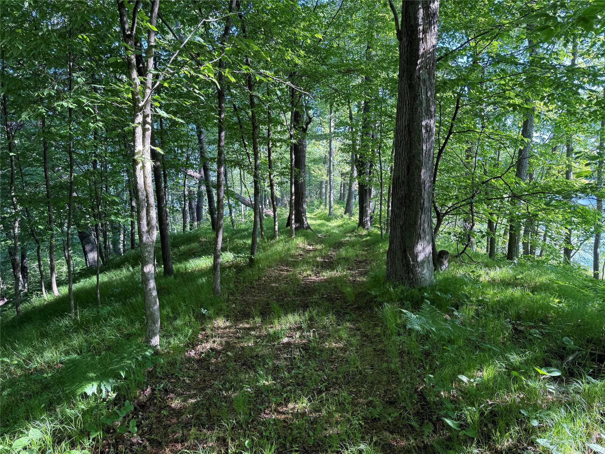 Xxx Sathre Lane Shell Lake, WI 54871 - Photo 20 of 36