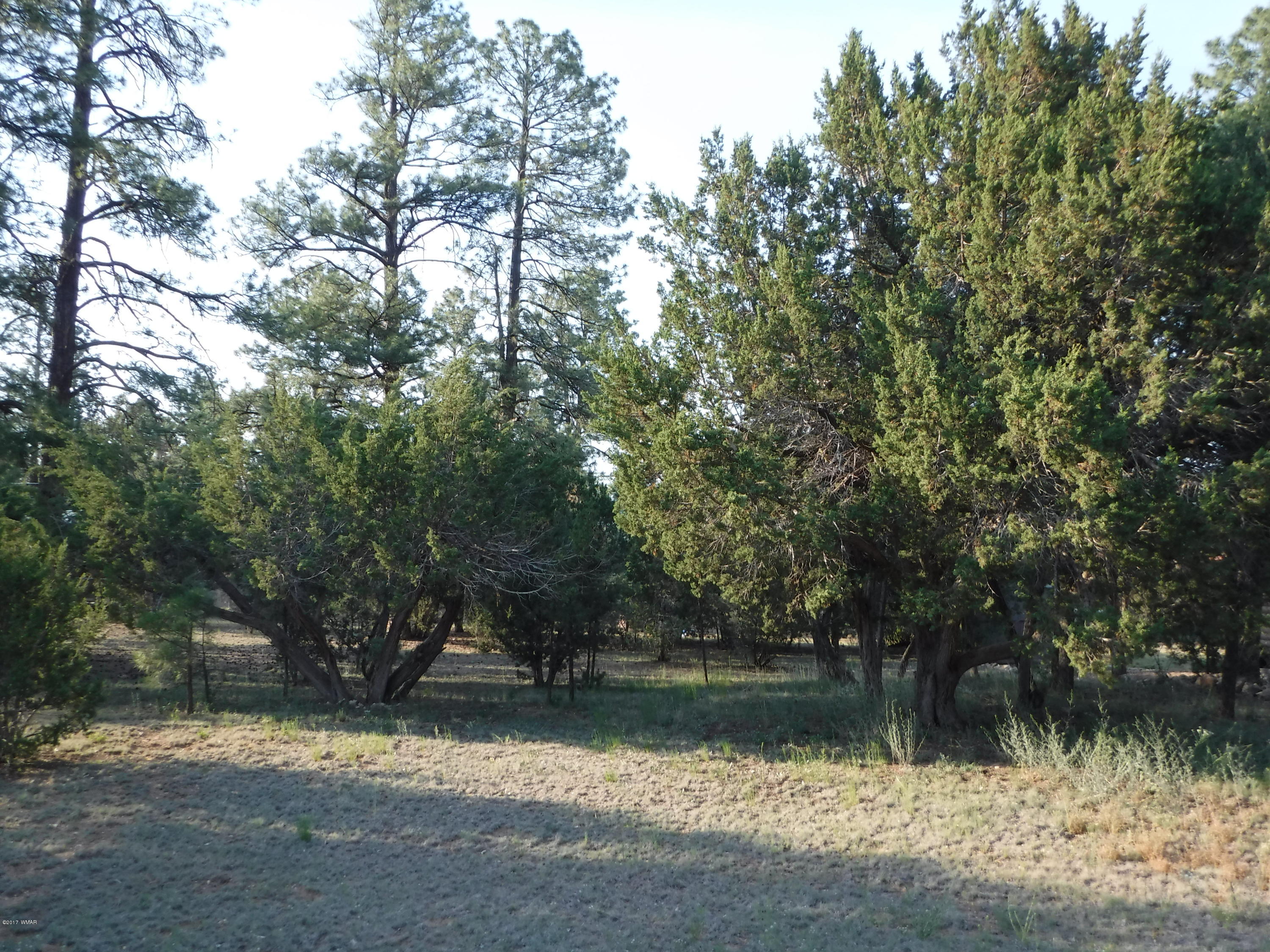 1928 Chevelon Road Overgaard, AZ 85933 - Photo 2 of 6 a view of lake background