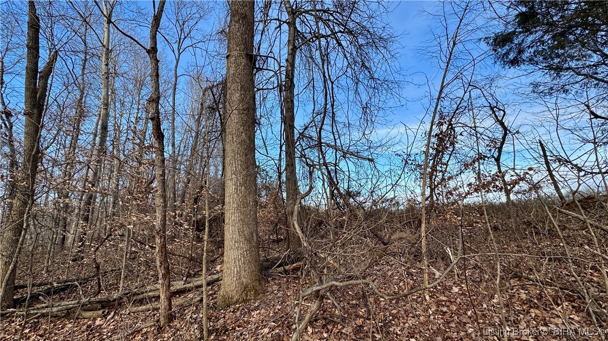 200 South Co Road French Lick, IN 47432 - Photo 12 of 20