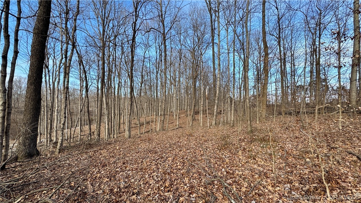 200 South Co Road French Lick, IN 47432 - Photo 13 of 20