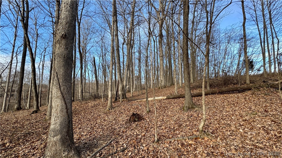 200 South Co Road French Lick, IN 47432 - Photo 14 of 20