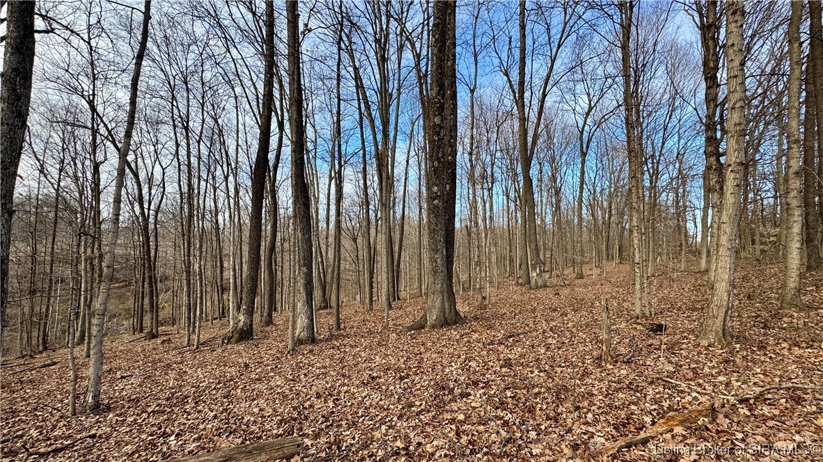 200 South Co Road French Lick, IN 47432 - Photo 15 of 20