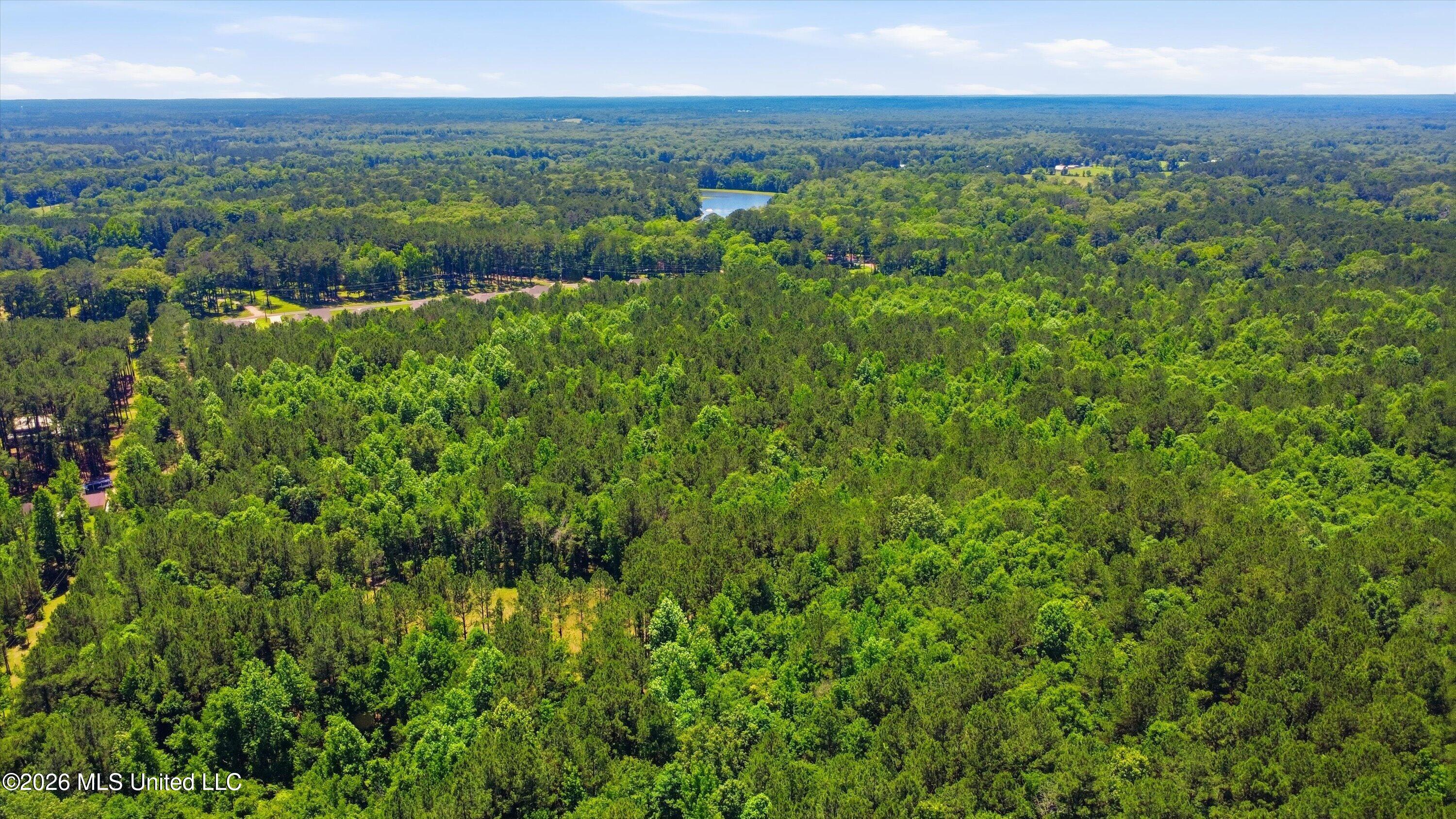 Lake Road Brandon, MS 39042 - Photo 17 of 19 17-Old_Lake_Rd_Drone_017