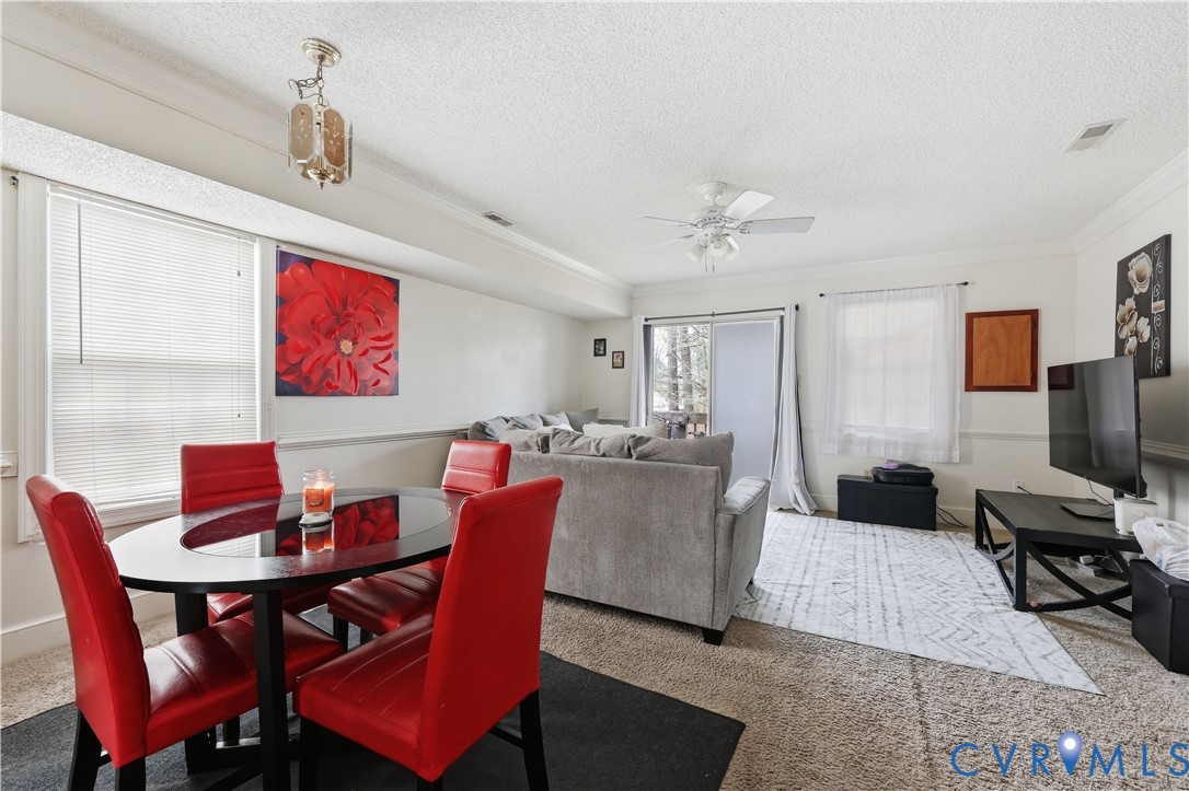 161 Lakeview Park Road Colonial Heights, VA 23834 - Photo 9 of 20 a living room with furniture a rug and a window
