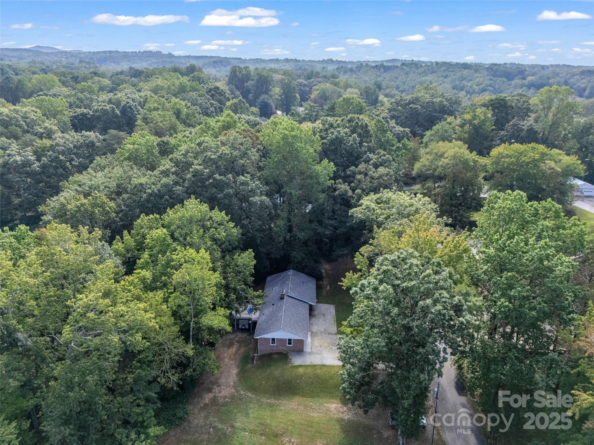 263 Blanton Street Columbus, NC 28722 - Photo 45 of 45 an aerial view of a house with a yard and a fountain