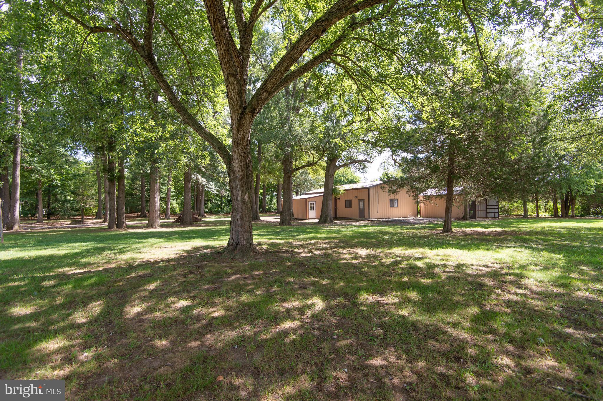 8435 Mitchell Road Denton, MD 21629 - Photo 54 of 70