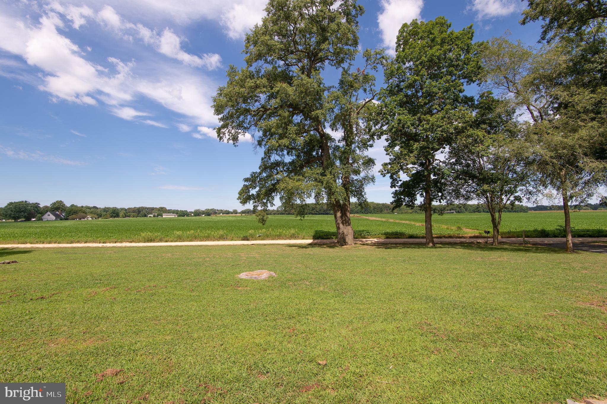 8435 Mitchell Road Denton, MD 21629 - Photo 69 of 70