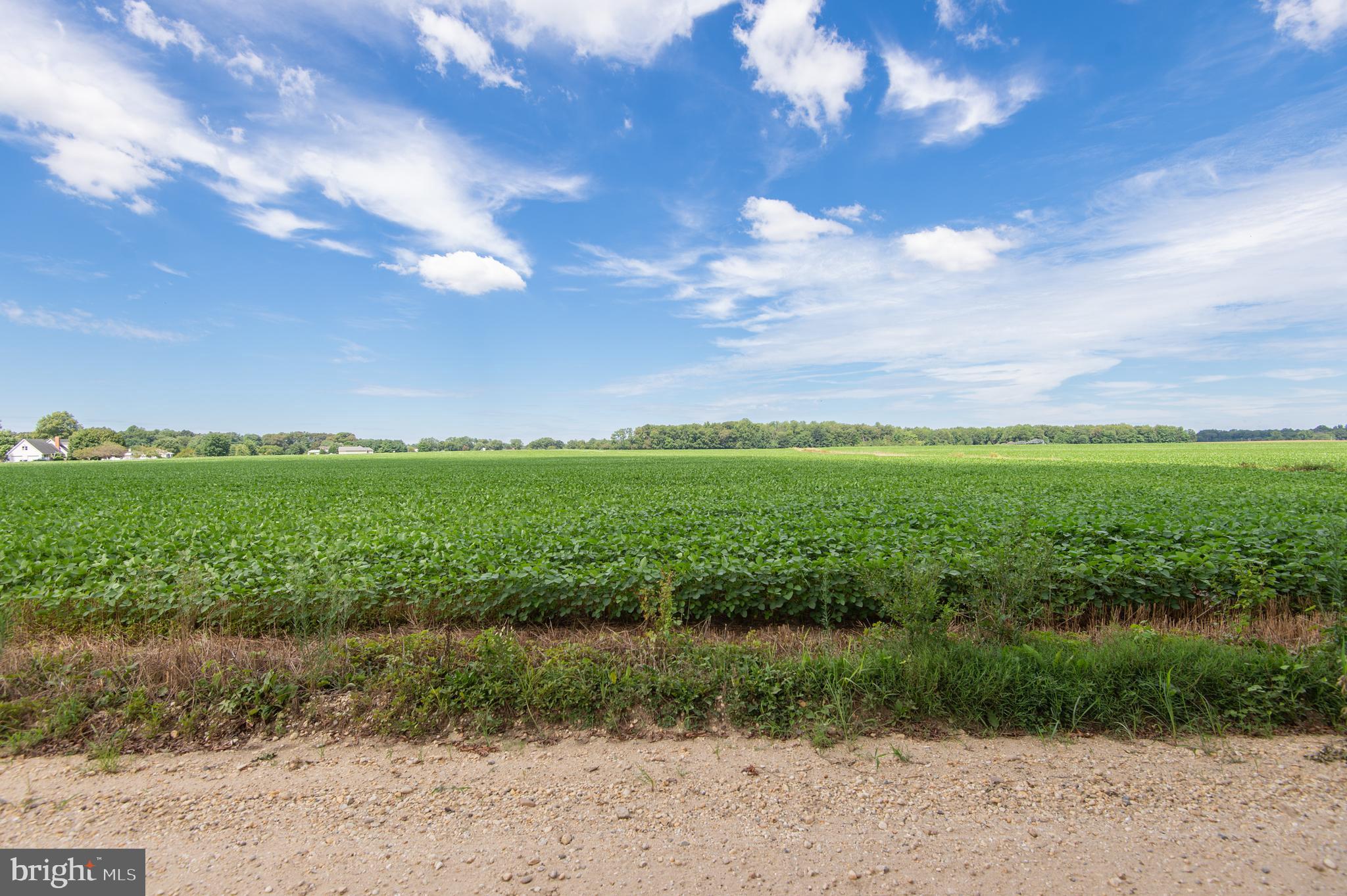 8435 Mitchell Road Denton, MD 21629 - Photo 70 of 70