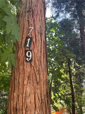 a sign that is on a tree