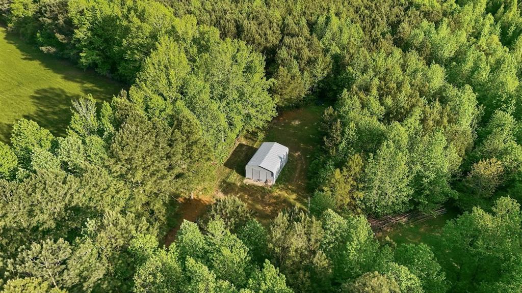 2239 Cross Roads Church Road Buchanan, GA 30113 - Photo 11 of 53 a view of a yard