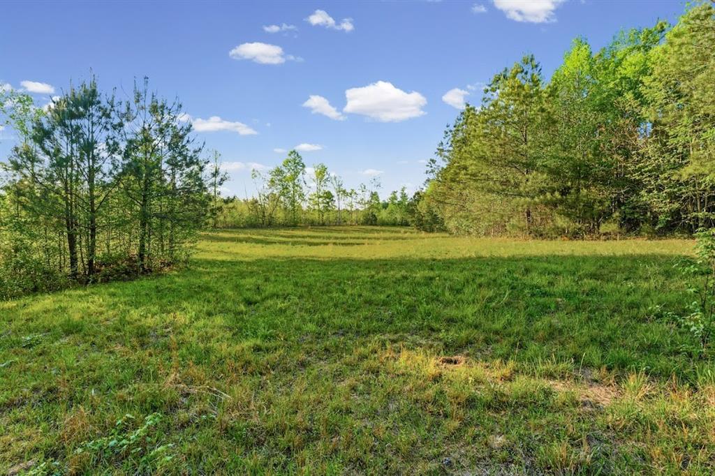 2239 Cross Roads Church Road Buchanan, GA 30113 - Photo 13 of 53 a view of yard with an trees