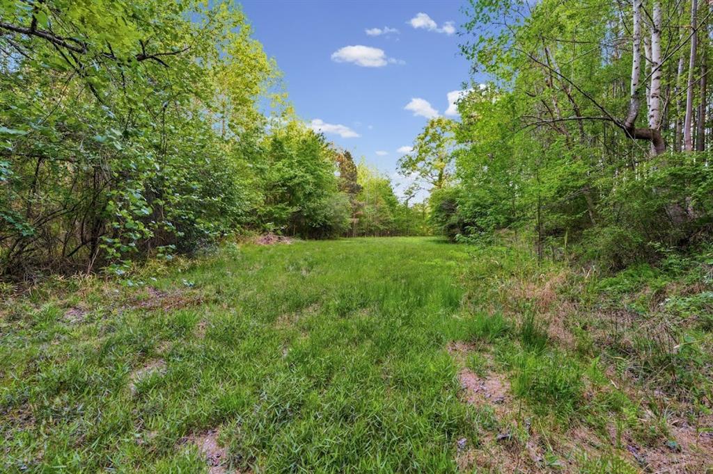 2239 Cross Roads Church Road Buchanan, GA 30113 - Photo 14 of 53 a view of a green field with lots of bushes