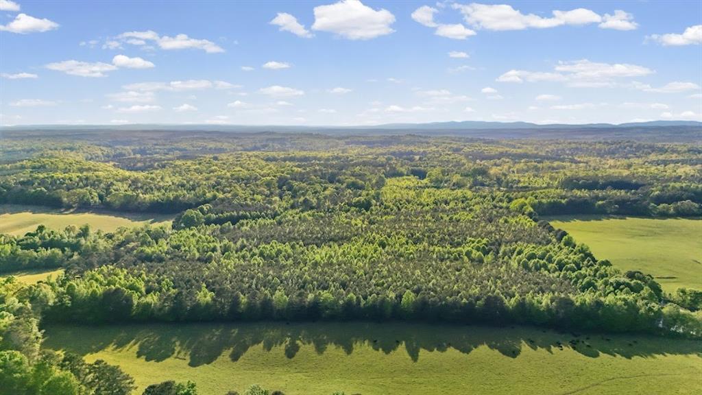 2239 Cross Roads Church Road Buchanan, GA 30113 - Photo 19 of 53 a view of lake view and mountain