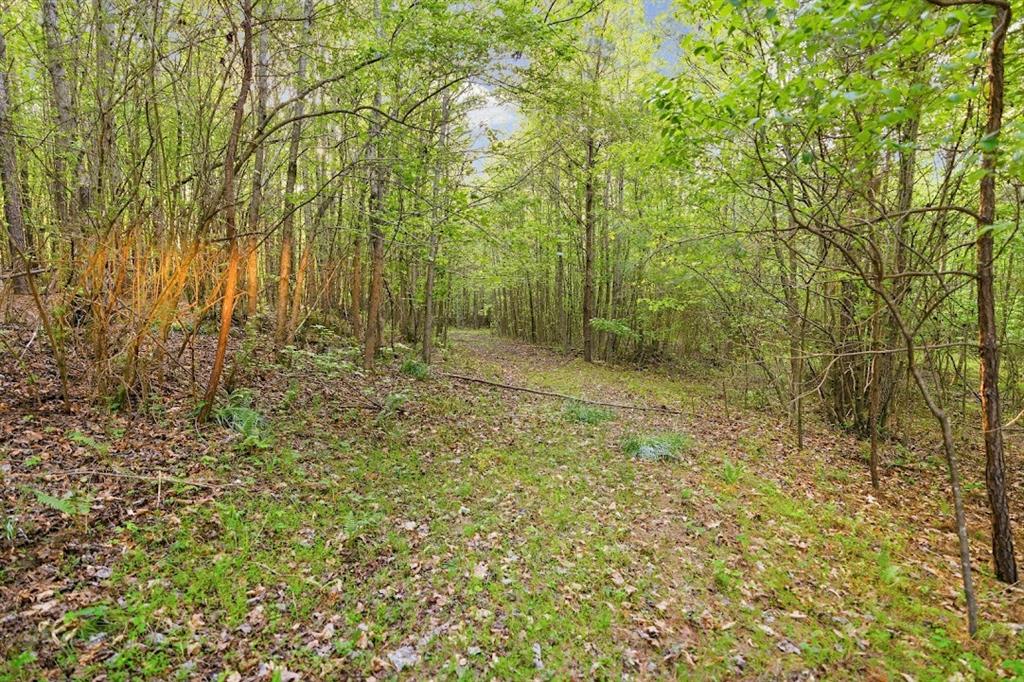 2239 Cross Roads Church Road Buchanan, GA 30113 - Photo 20 of 53 a view of a yard with a tree