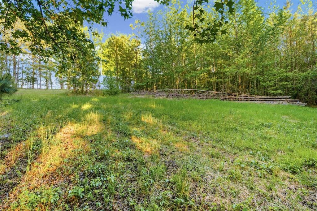 2239 Cross Roads Church Road Buchanan, GA 30113 - Photo 48 of 53 a view of yard with green space