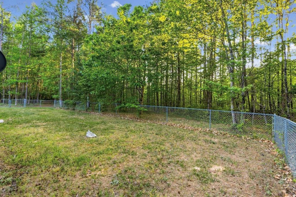 2239 Cross Roads Church Road Buchanan, GA 30113 - Photo 49 of 53 a backyard of a house with lots of green space
