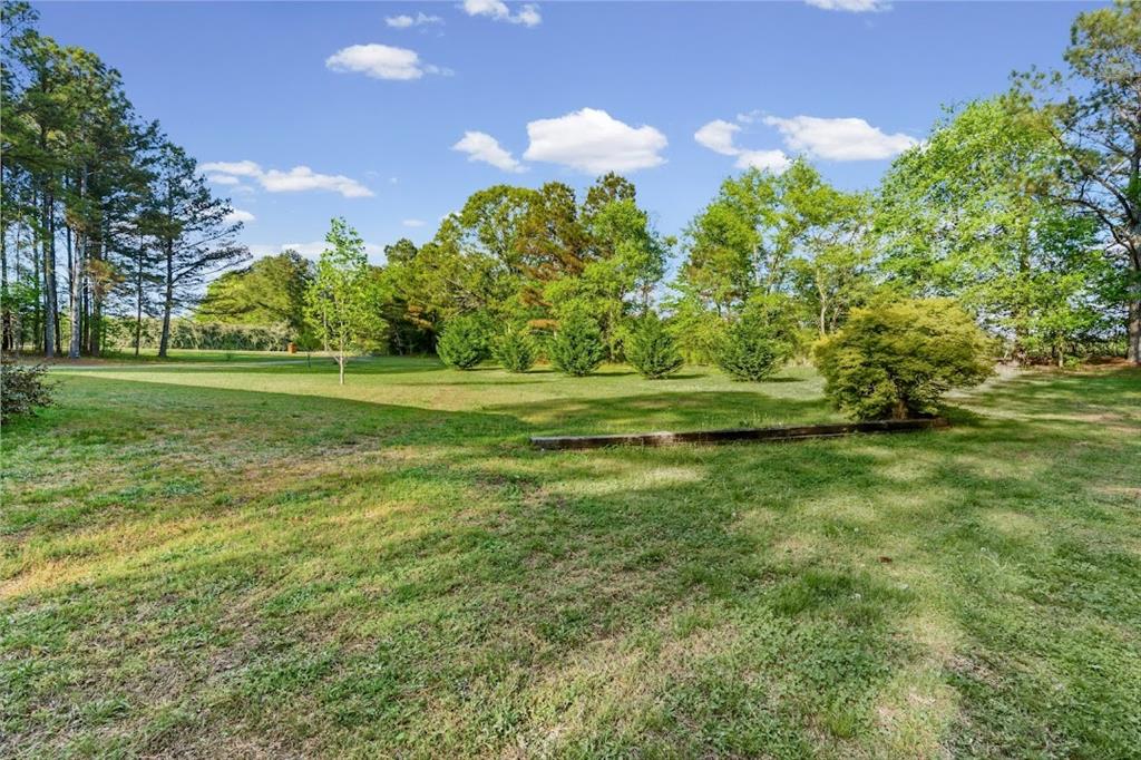 2239 Cross Roads Church Road Buchanan, GA 30113 - Photo 51 of 53 a view of a field with a tree in the background