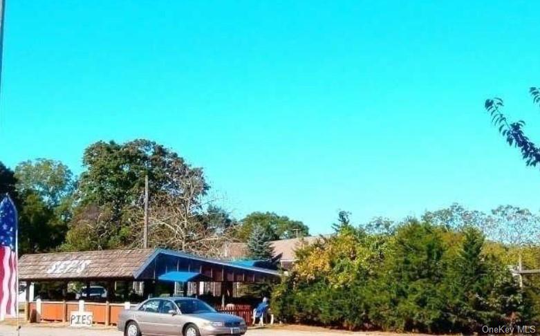 3670 Rocky Point Road East Marion, NY 11939 - Photo 24 of 27 a view of a big yard with plants and large trees