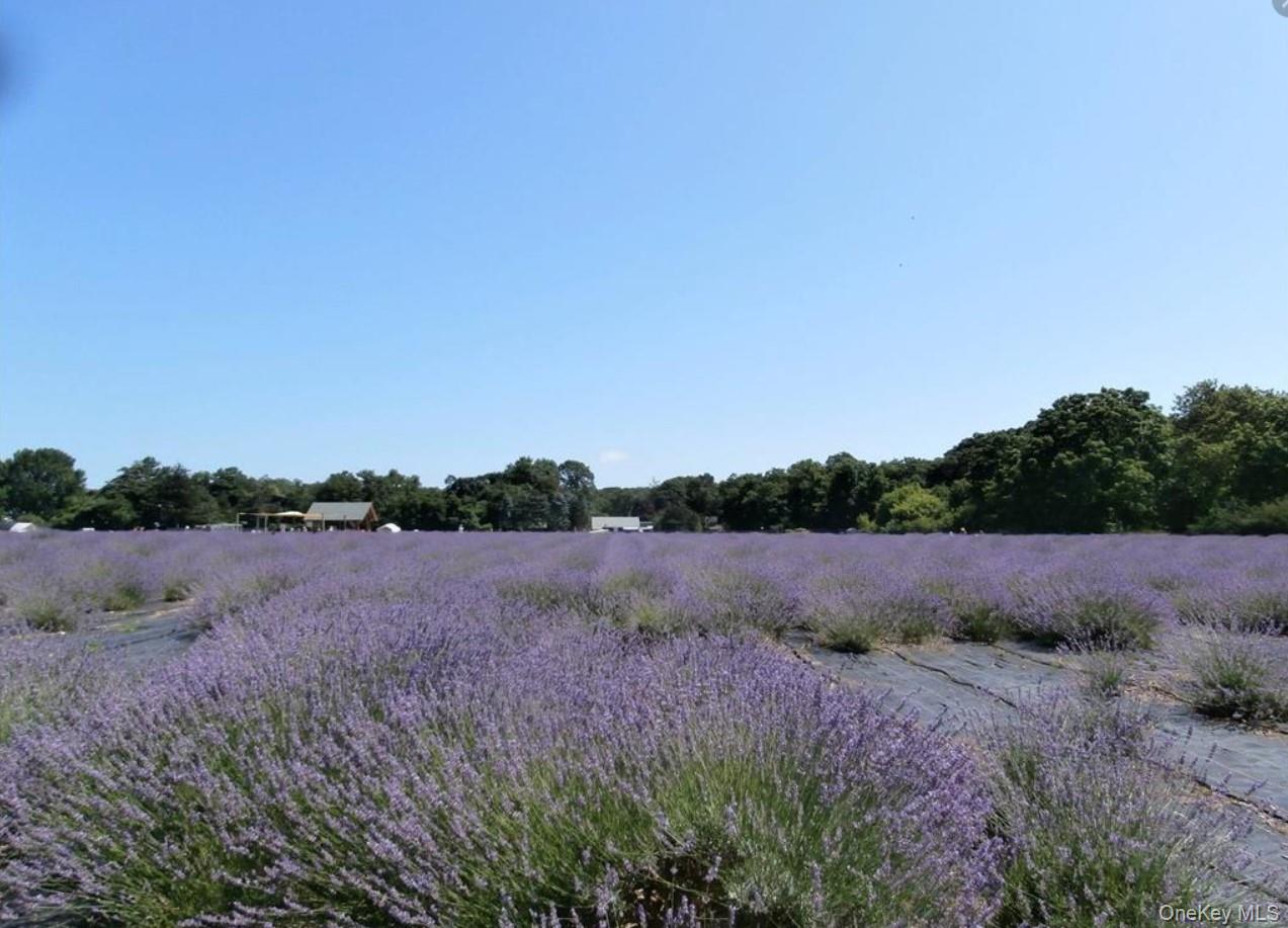 3670 Rocky Point Road East Marion, NY 11939 - Photo 26 of 27 a view of lake and outdoor space